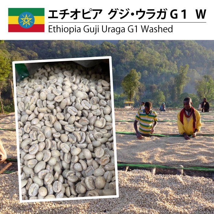 エチオピア グジ・ウラガ G1 W（Ethiopia Guji Uraga G1 Washed)