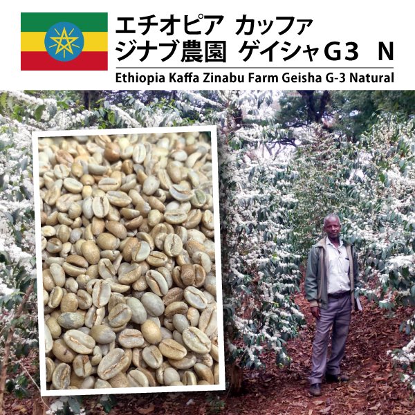 2ۥԥ åե ʥ ǣ ΡEthiopia Kaffa Zinabu Farm Geisha G3 Natural