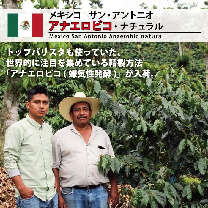 7ۥᥭ 󡦥ȥ˥ ʥӥʥMexico San Antonio Anaerobic Natural