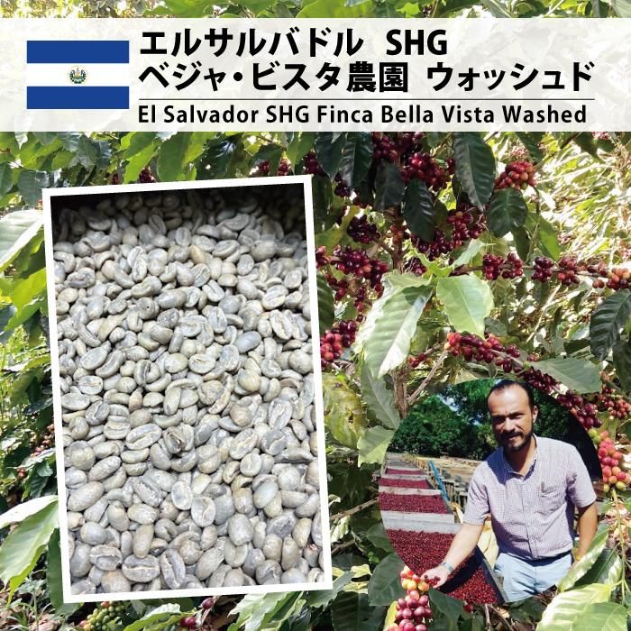 【11月特売】エルサルバドル SHG ベジャ・ビスタ農園(El Salvador SHG Finca Bella Vista)