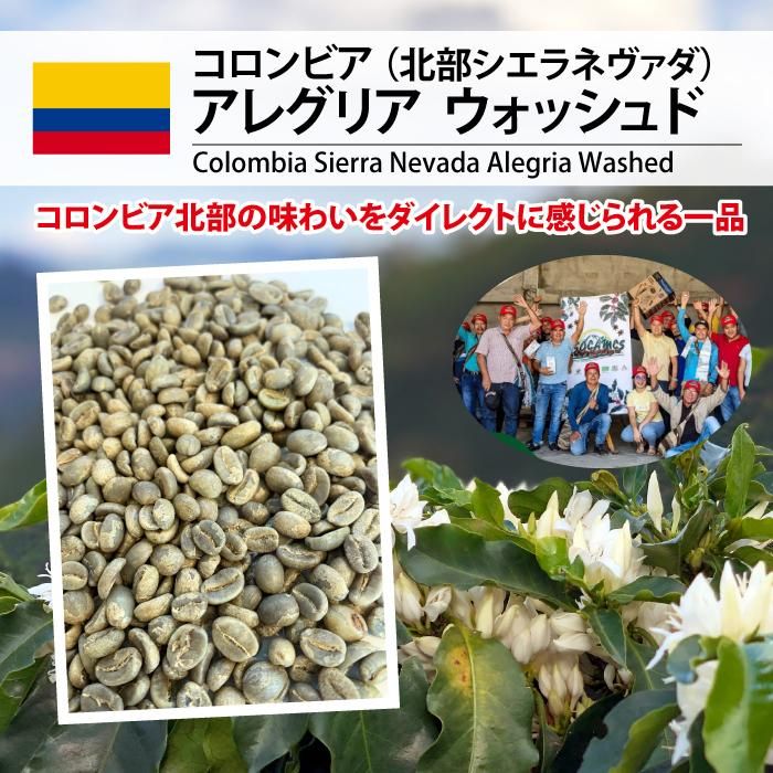 12ۥӥ 쥰ꥢ åɡColombia Sierra Nevada Alegria Washed