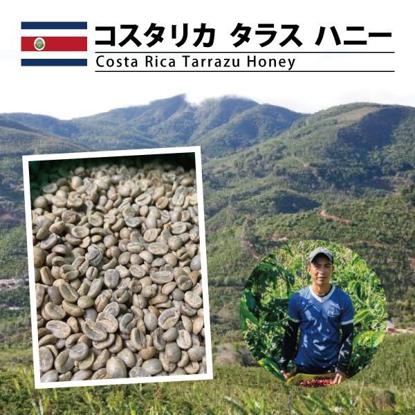 ڣۥꥫ 饹 ϥˡCostaRica Tarrazu Honey 