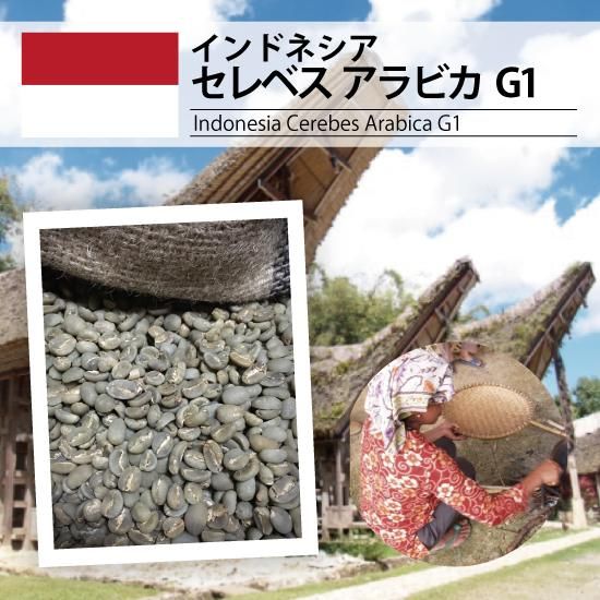 インドネシア セレベス アラビカ G1（Indonesia Celebes Arabica G1 ）