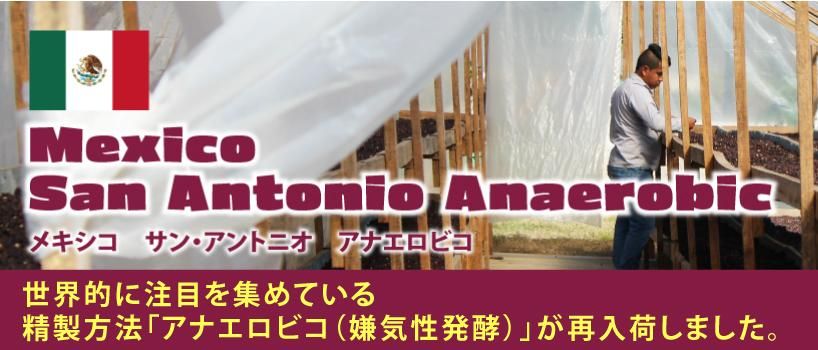 松屋珈琲ホームページ 激安コーヒー生豆、生豆、お買い得生豆