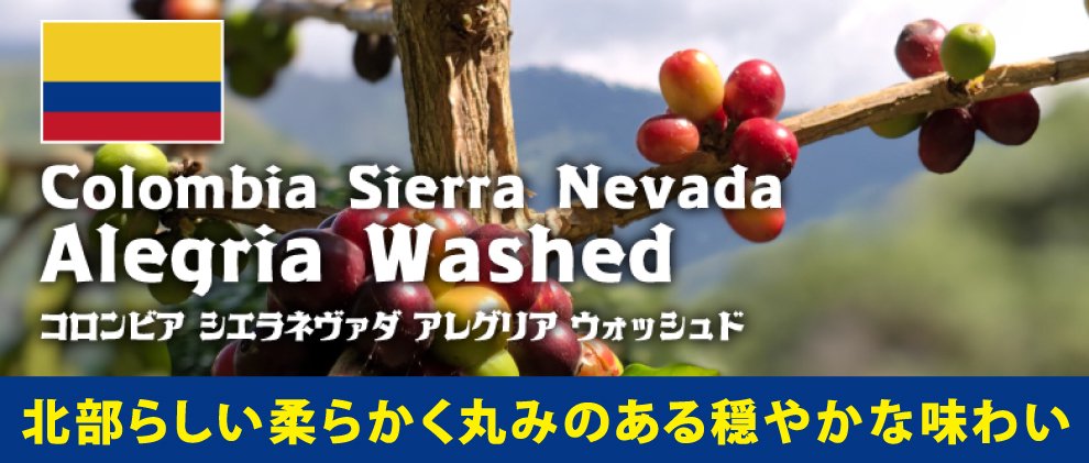 松屋珈琲ホームページ 激安コーヒー生豆、生豆、お買い得生豆