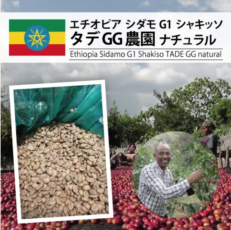 ڣۥԥ G1 GG ʥEthiopia SidamoG1 TADE GGNatural)