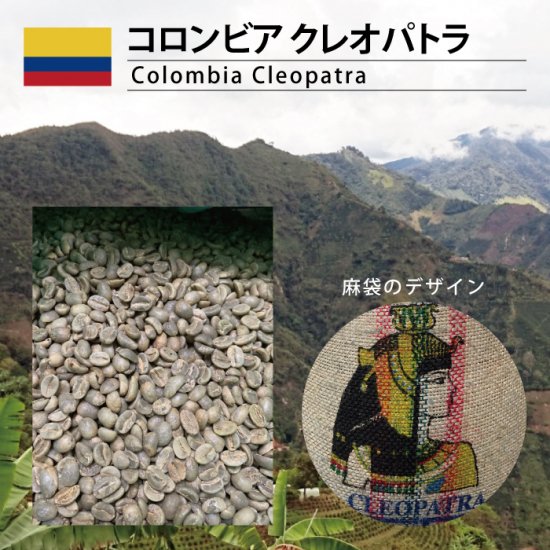 コロンビア クレオパトラ（Colombia Cleopatra） - 松屋珈琲〜コーヒー生豆通販専門店の通販サイト