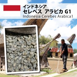 インドネシア セレベス アラビカ G1（Indonesia Celebes Arabica G1 ）