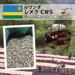 [完売御礼] ルワンダ レメラ CWS GP（Rwanda Remera CWS ）