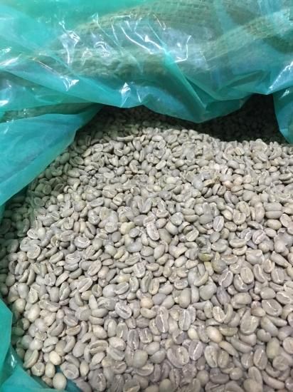 エチオピア イルガチャフィ G1 コチャレ WASHED - 松屋珈琲-コーヒー生