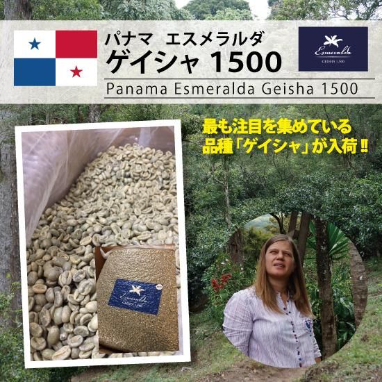 楽天市場】【送料無料】パナマ エスメラルダ 農園 ゲイシャ（100