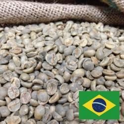 生豆 約10kg 楽天市場】コーヒー 生豆 10kgの通販