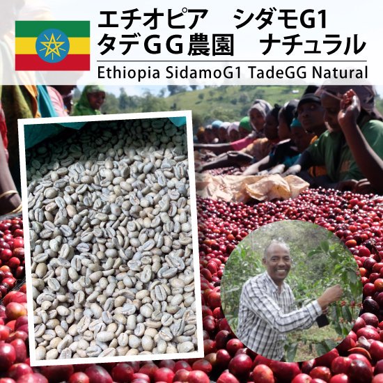 エチオピア シダモG1 タデGG農園 ナチュラル（Ethiopia SidamoG1 TADE