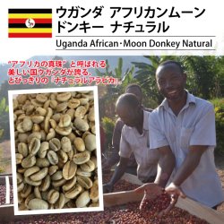 [完売御礼] ウガンダ アフリカンムーン ドンキー ナチュラル（Uganda African･Moon Donkey Natural）