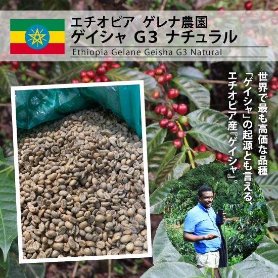 エチオピア ゲレナ農園 ゲイシャG3 ナチュラル（Ethiopia Gelane