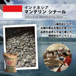 【麻袋】インドネシア　マンデリン　シナール（定貫30kg）