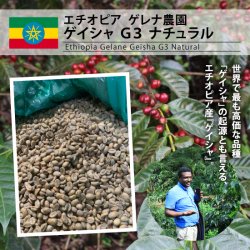 [完売]【麻袋】エチオピア ゲレナ農園 ゲイシャG3 ナチュラル（定貫30kg）