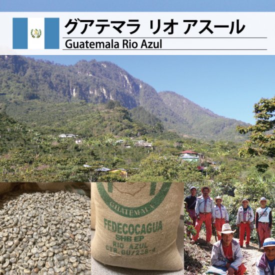 松屋珈琲 コーヒー生豆通販専門店の通販サイト グアテマラ リオ アスール Guatemala Rio Azul