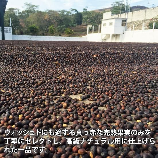 松屋珈琲～コーヒー生豆通販専門店の通販サイト～ 【麻袋
