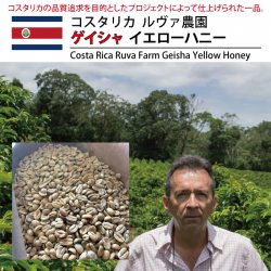 [完売御礼] コスタリカ ルヴァ農園 ゲイシャ イエローハニー（Costa Rica Ruva Farm Geisha Yellow Honey ）(200g〜)