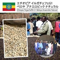 [] ԥ 륬եG1 ٥ ʥӥå ʥ Ethiopia Yirgacheffe G1 Beloya Anaerobic Natural 