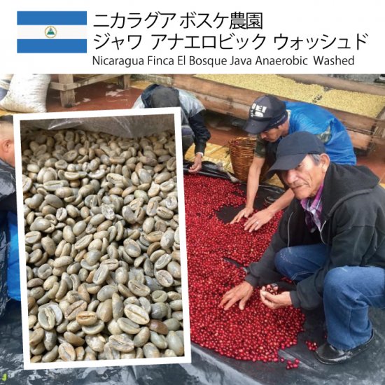 残りわずか] ニカラグア ボスケ農園 ジャワ アナエロビック ウォッシュド - 松屋珈琲〜コーヒー生豆通販専門店の通販サイト