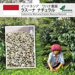 [] ɥͥϥࡡ饹ʡʥIndonesia Wahana estate Rasuna Natural