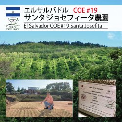 [完売御礼] 《COE2021》エルサルバドル サンタジョセフィータ農園（200g〜）