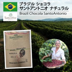 【麻袋】ブラジル ショコラ　サントアントニオ（定貫60kg）