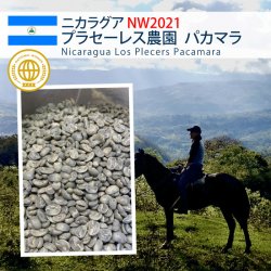 [限定入荷] ニカラグア NW2021 プラセレス農園 パカマラ W（Nicaragua NW2021 Los  Placers Pacamara Washed ）(500g〜)