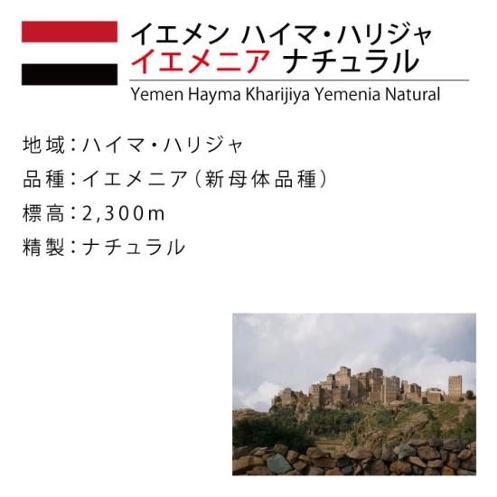 Amazon | たぐち珈琲豆店 イエメン ハイマ・ハリジャ 新母体品種