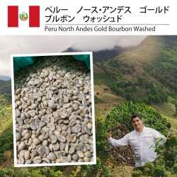 【8月特売】ペルー  ノース・アンデス  ゴールド  ブルボン  ウォッシュド（Peru North Andes Gold Bourbon Washed）