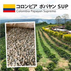 [完売御礼] コロンビア  ポパヤン  SUP（Colombia Popayan Supremo）