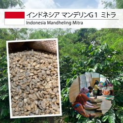 [残りわずか] インドネシア マンデリンG1  ミトラ（Indonesia Mandheling G1 Mitra）