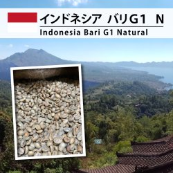 [限定特価] インドネシア　バリG1　ナチュラル（Indonesia BariG1 Natural ）