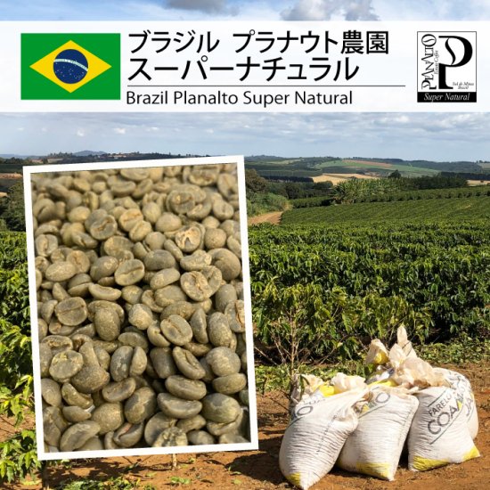 松屋珈琲～コーヒー生豆通販専門店の通販サイト～ブラジル プラナウト農園 スーパーナチュラル（Brazil Planalto Super Natural  )
