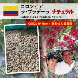 [一時完売] コロンビア  ラ プラデーラ  ナチュラル（Colombia La Pradera Natural)