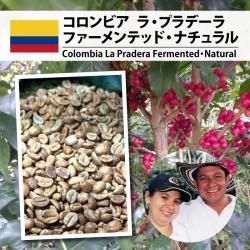 ӥ   ץǡ  եƥåɡʥColombia La Pradera FermentedNatural)