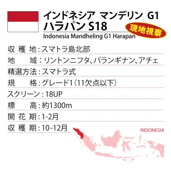 インドネシアマンデリンG1ハラパンS18 | インドネシア現地視察にてクオリティの高さを目の当たりにした一品 - 松屋珈琲〜コーヒー生豆 通販専門店の通販サイト