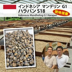 松屋珈琲～コーヒー生豆通販専門店の通販サイト