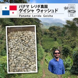 パナマ レリダ農園 ゲイシャ ウォッシュド（ Panama Lerida Geisha Washed ）(200g〜)
