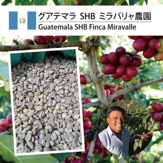 コーヒー麻袋ーグアテマラ ミラリャバ農園(6枚)