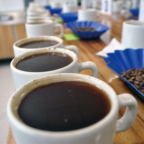 コロンビア アレグリア ウォッシュド | 松屋珈琲オリジナルスペック