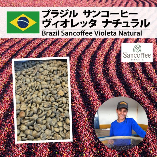 ブラジル サンコーヒー ヴィオレッタ ナチュラル（Brazil Sancoffee