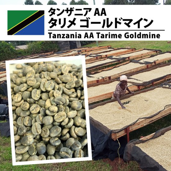 松屋珈琲～コーヒー生豆通販専門店の通販サイト～タンザニア AA タリメ