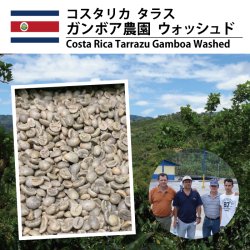 コスタリカ  ガンボア農園  ウォッシュド（Costa Rica Gamboa Washed）