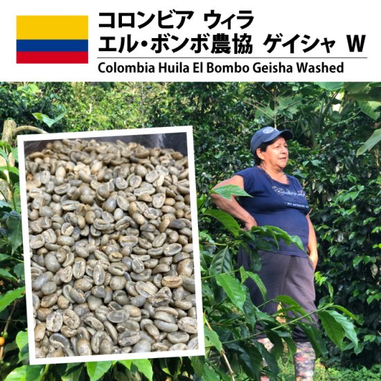 コロンビア ウィラ エル・ボンボ ゲイシャ W（Colombia Huila El Bombo