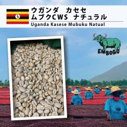 [残りわずか] ウガンダ カセセ ムブク ナチュラル（Uganda Kasese Mubuku Natural）
