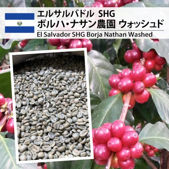 完売御礼] エルサルバドル SHG ボルハ・ナサン農園 W（El Salvador SHG Borja Nathan Washed ）|  世界中に届ける良質なコーヒー - 松屋珈琲〜コーヒー生豆通販専門店の通販サイト