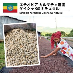 <img class='new_mark_img1' src='https://img.shop-pro.jp/img/new/icons14.gif' style='border:none;display:inline;margin:0px;padding:0px;width:auto;' />エチオピア カルマチェ農園 ゲイシャG3 ナチュラル（Ethiopia Karmache Geisha G3 Natural）